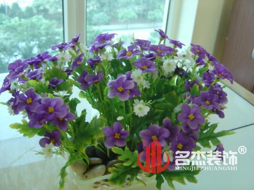 办公室香蕉视频免费下载.jpg