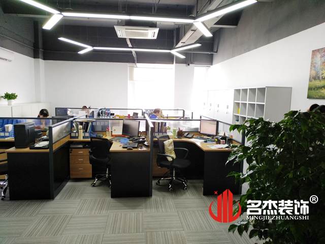 精信办公室香蕉视频免费下载完工照.jpg