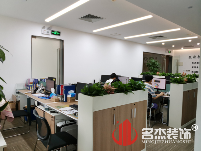 办公室香蕉视频免费下载
