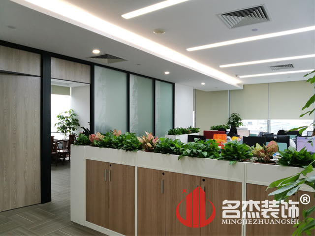 办公室香蕉视频免费下载