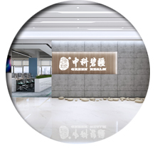 办公室香蕉视频免费下载设计