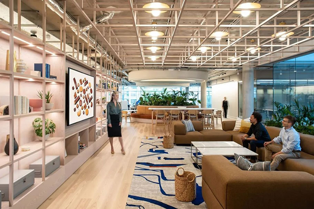 办公室香蕉视频免费下载