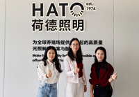 灯光照明行业办公空间香蕉视频免费下载就来香蕉小视频装饰